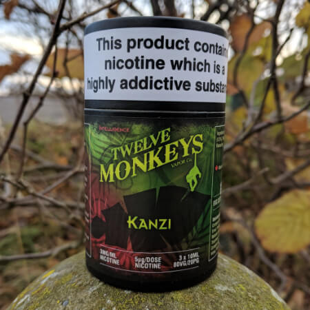 12 Monkeys Kanzi