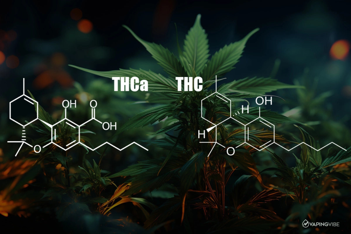 What is THCA, and How Is it Different from THC?