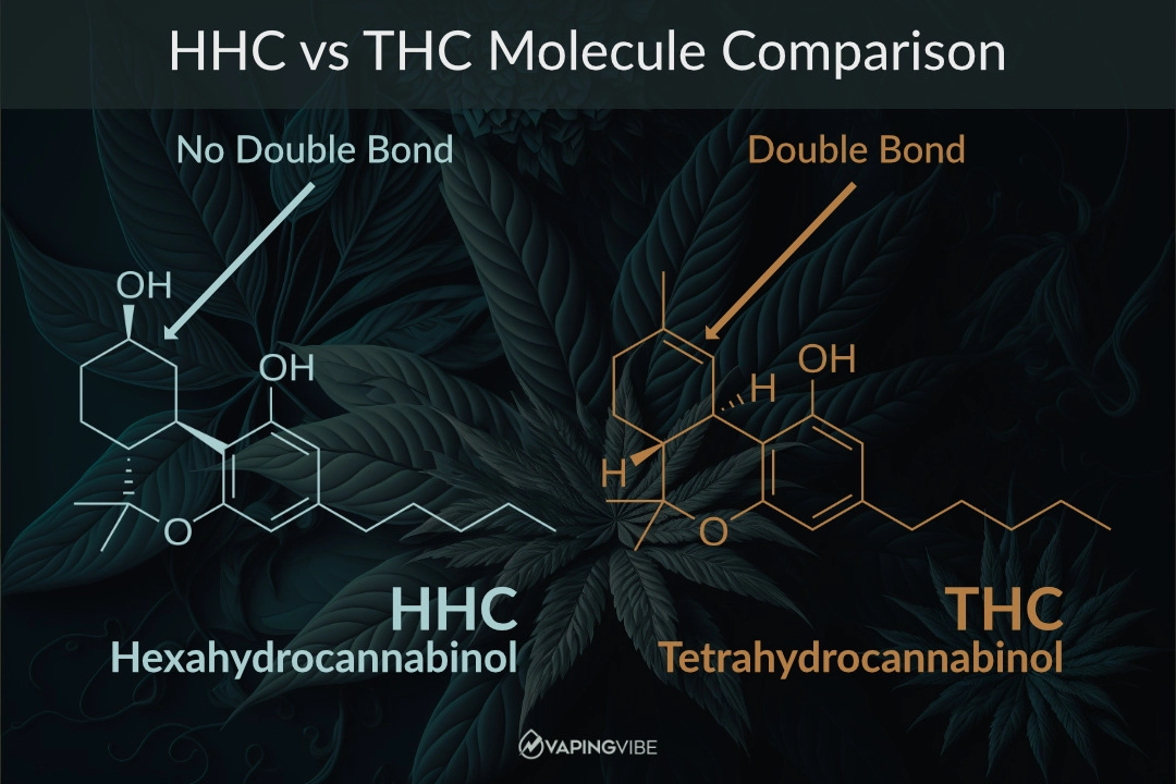 How Does HHC Compare to THC?