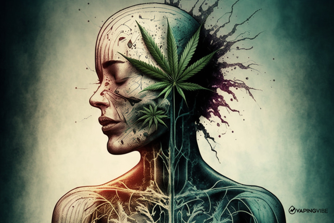 What Are The Effects of CBD?