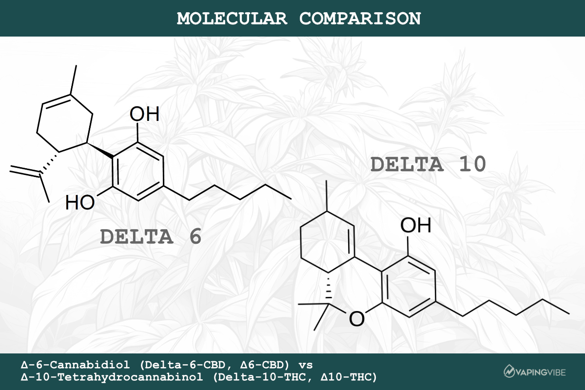 Delta 6 vs. Delta 10 - Molecular Comparison