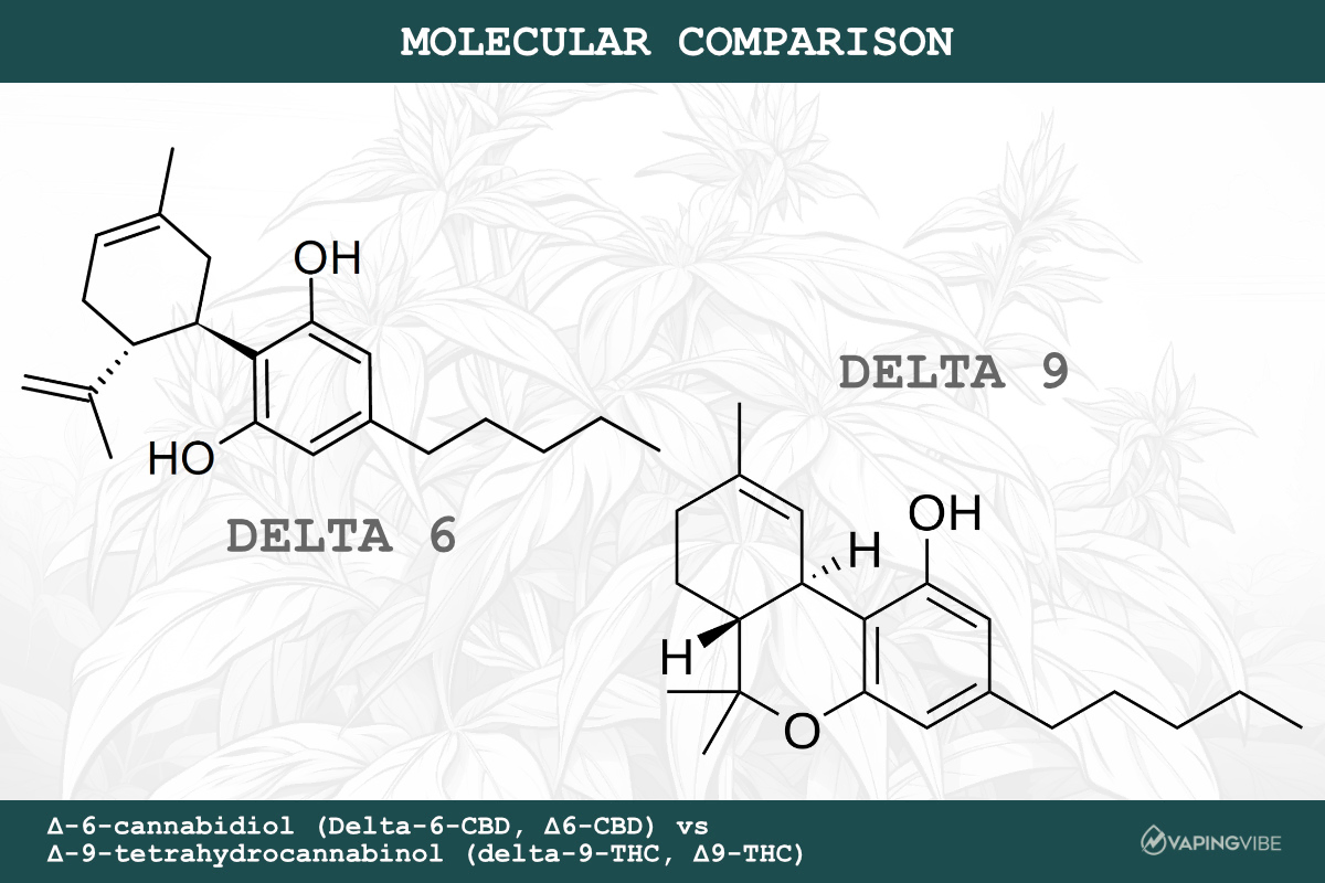 Delta 6 vs. Delta 9 - Molecular Comparison